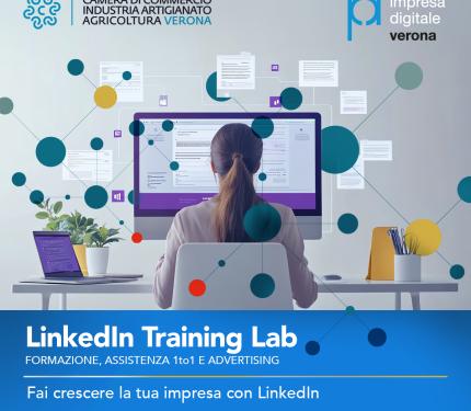LinkedIn Training Lab