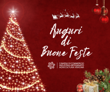 Festività natalizie: apertura e chiusura uffici e Borsa Merci